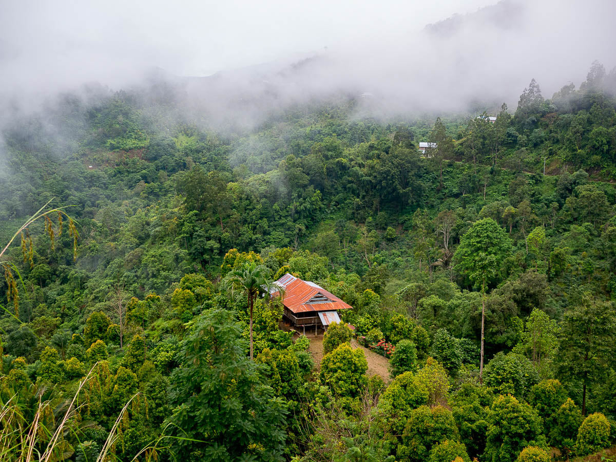  Sulawesi.