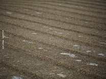 The dark colored wet hulled coffee dries on a cement patio in Aceh.