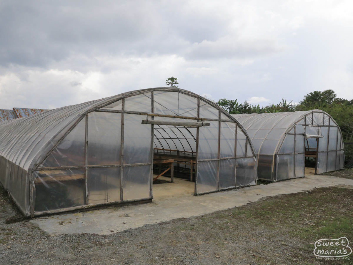 Domed, parabolic, drying rooms for green coffee (often called "solar dryers") at Asman Arianto's Ribang Gayo site in Aceh Tengah, Sumatra.