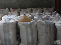 Parchment coffee stored in mylar bags rests in a cool warehouse of a Lintong collector (not James). Lintong Nihuta, Sumatra.