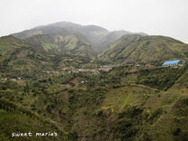 A view of the misty paramo region of Aponte from the opposite hillside.
