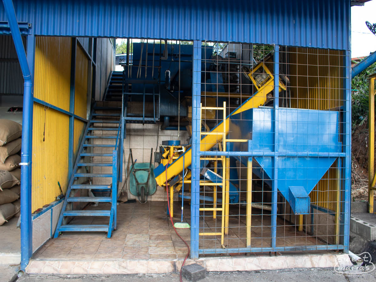 The small wet mill used to process coffee at Cerro La Cruz.