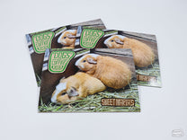 Sweet Maria's "Dogs" of Coffee Calendar 2026