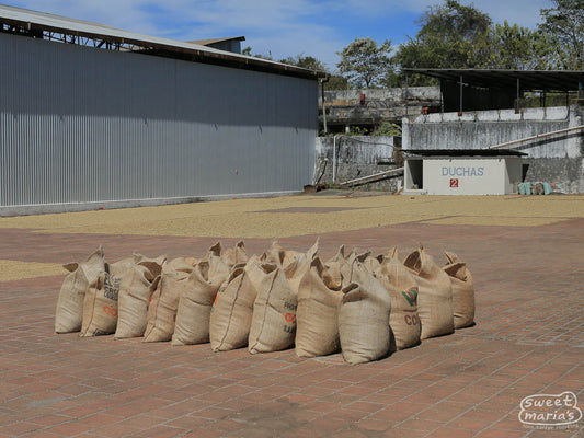 A row of tan burlap sacks sits on a brick patio in front of the wet mill (