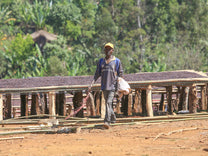 A farmer walks past the drying tables at a Kercha coffee site in Guji.