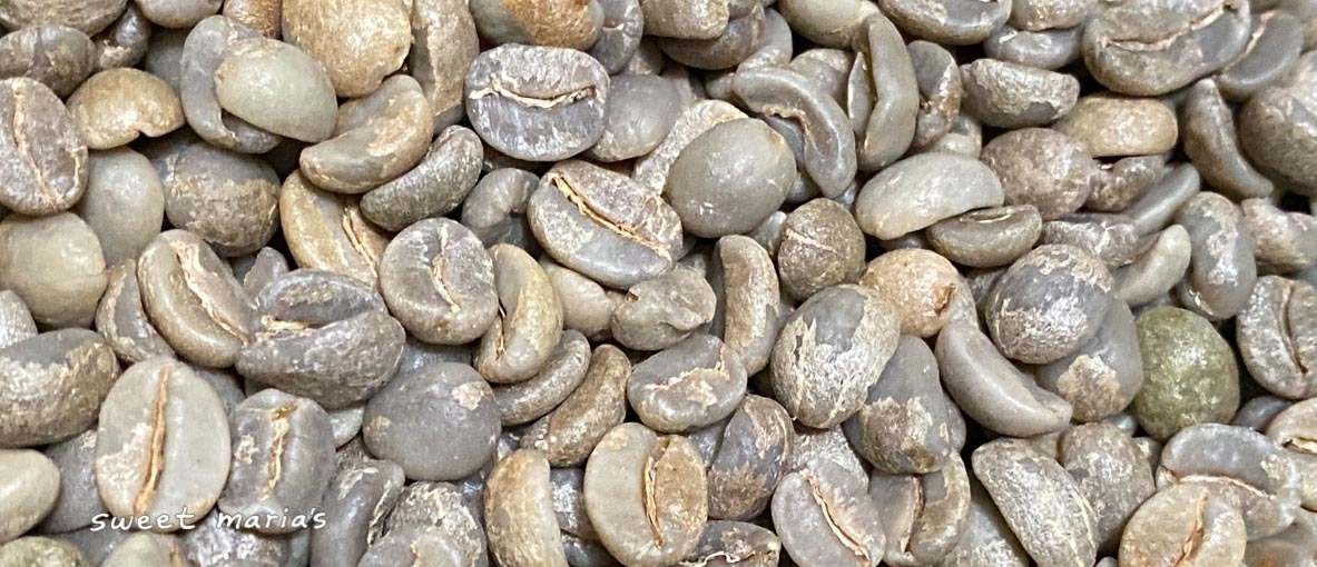 Close-up photo of the current blend