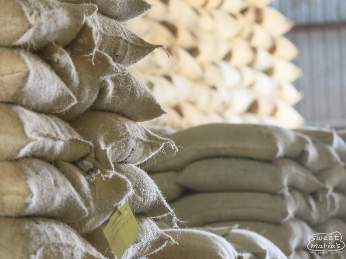  on raised drying beds at a cooperative in Tanzania. (Not Makonga